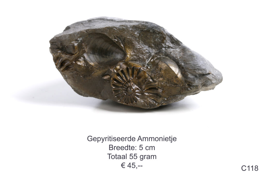 Ammonietje gepyritiseerd