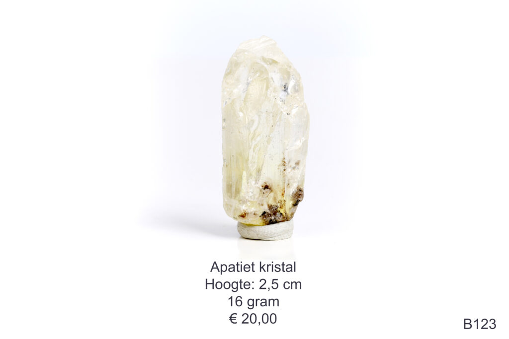Apatiet