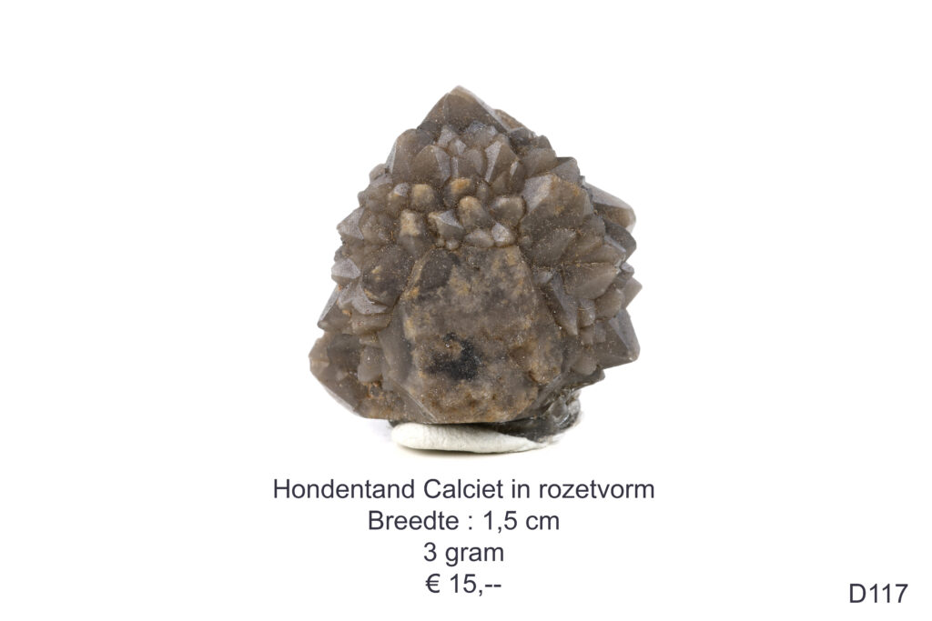 Hondentand calciet