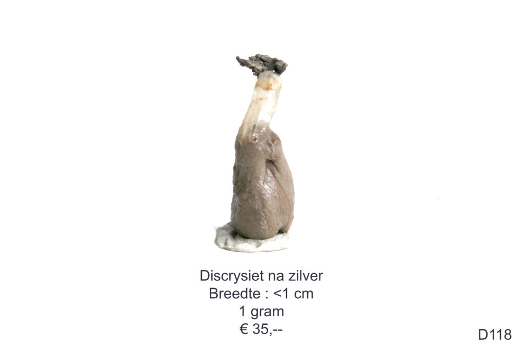 Dyskrisiet