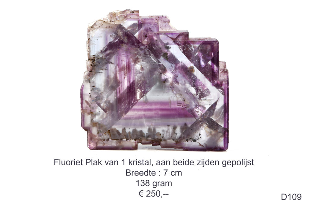 Fluoriet plak