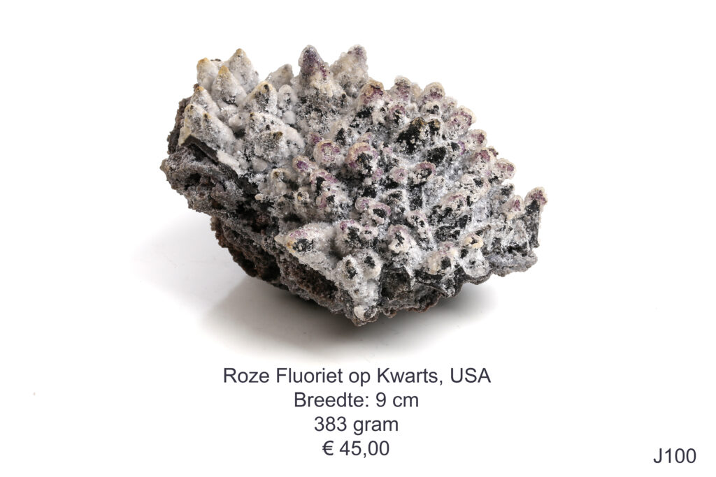 Fluoriet