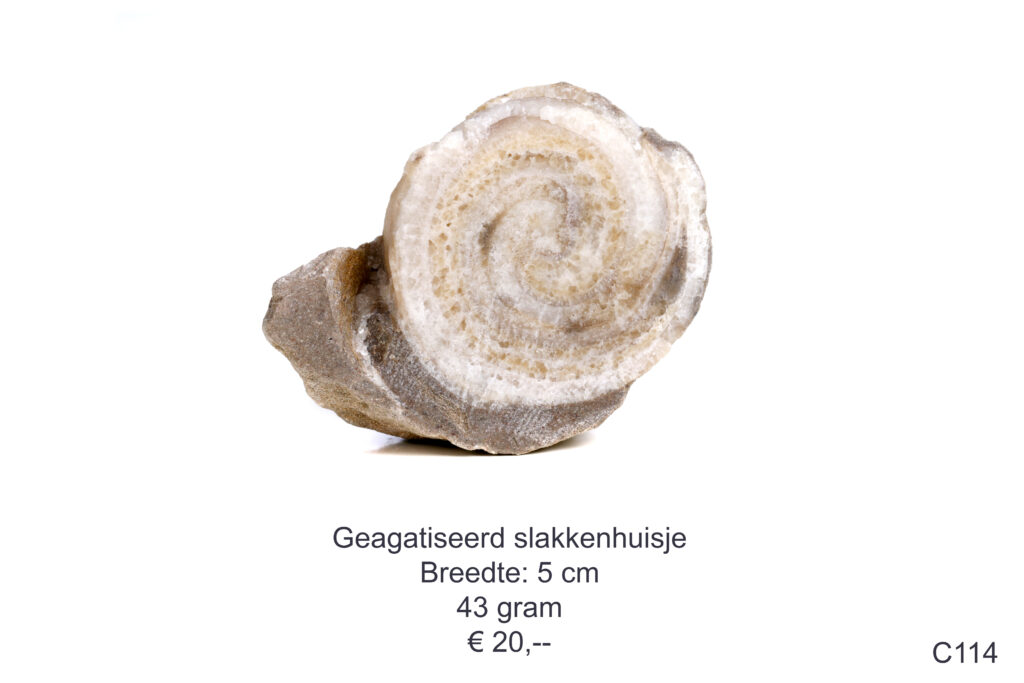 Geagatiseerd Slakkenhuisje
