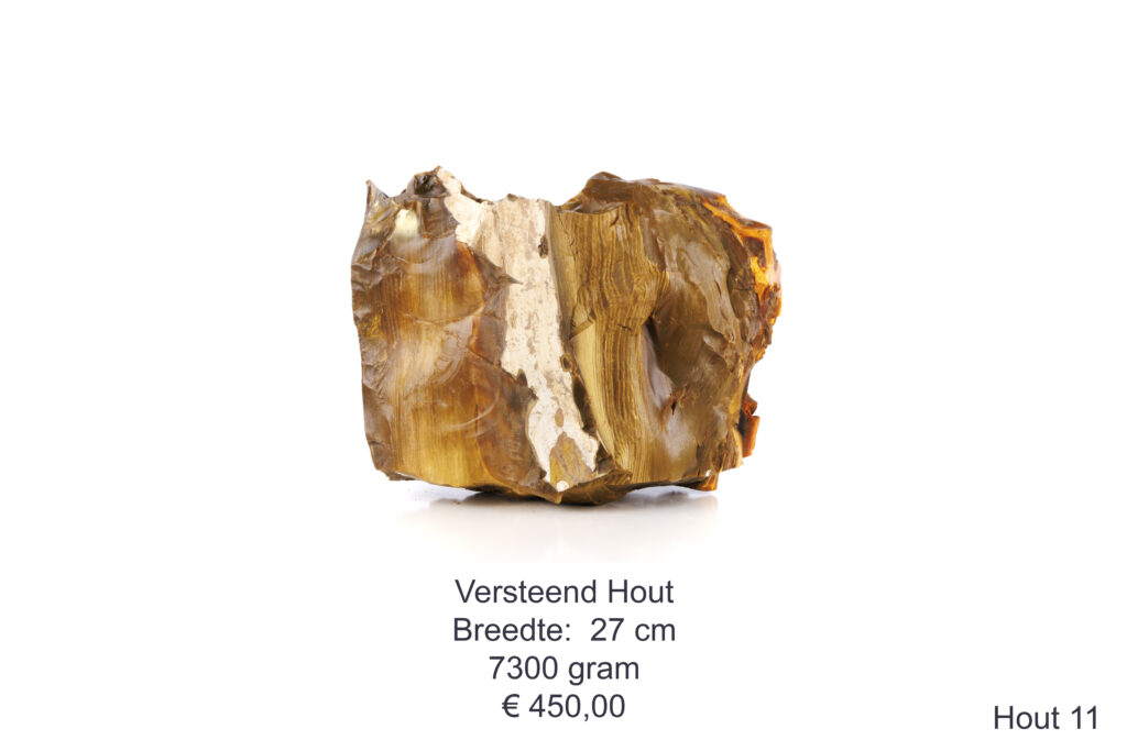 Versteend hout