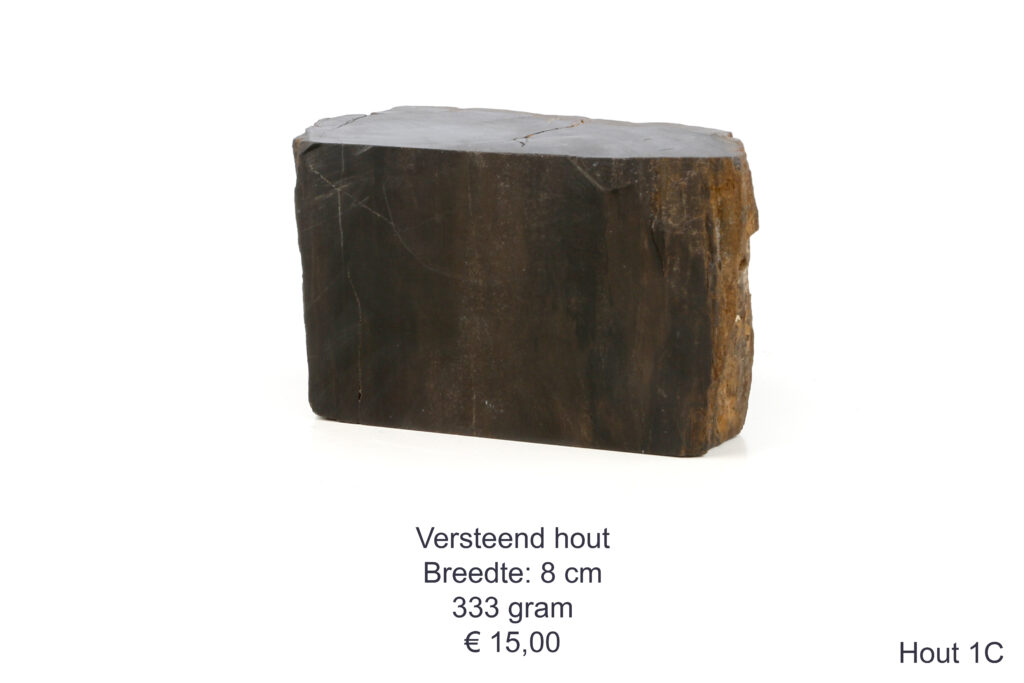 Versteend hout
