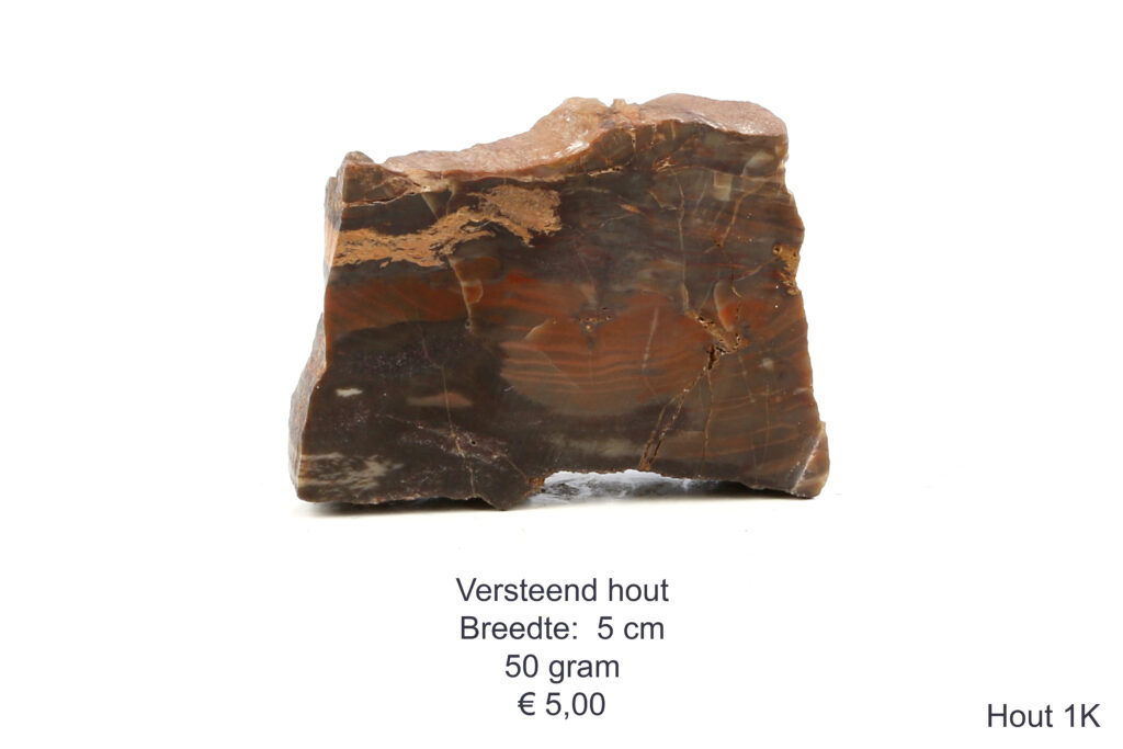 Versteend hout