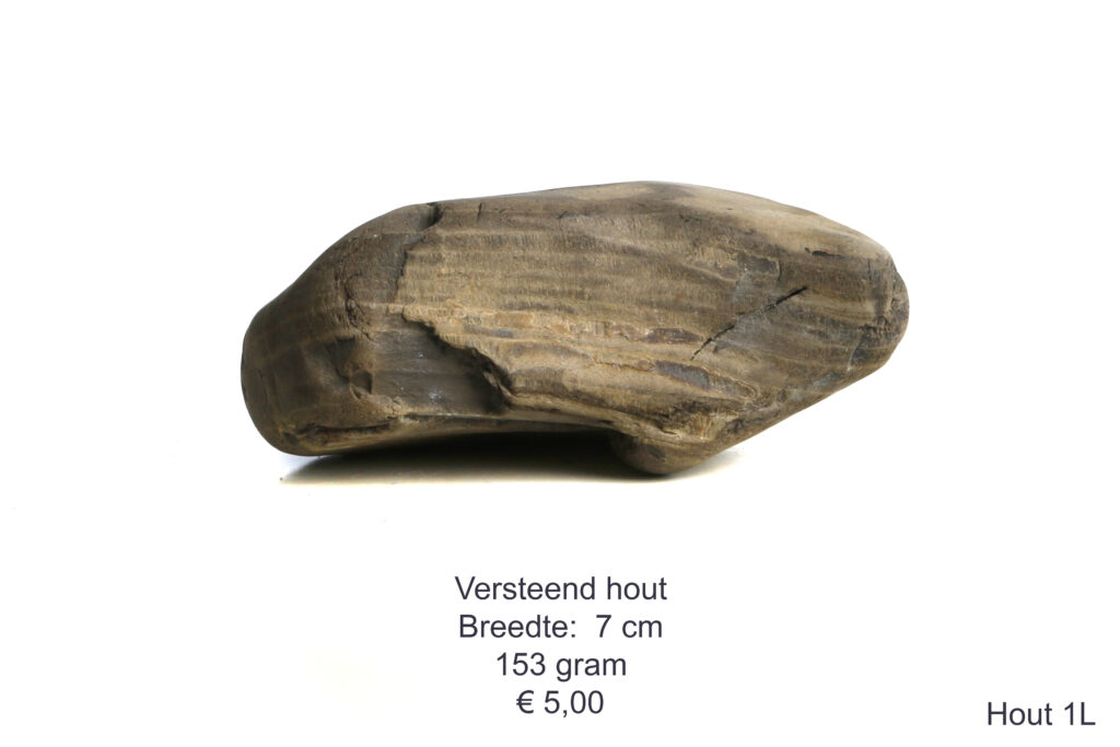 Versteend hout