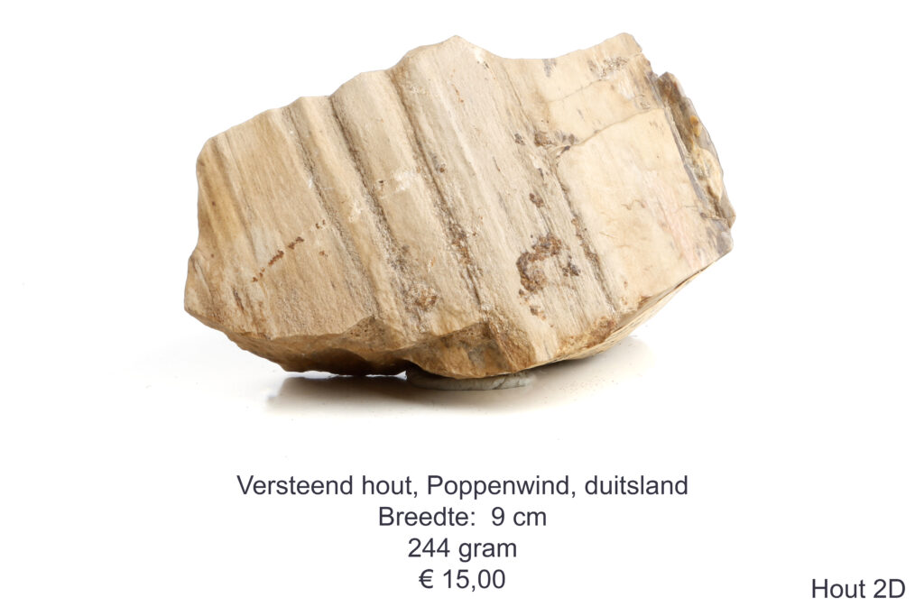 Versteend hout