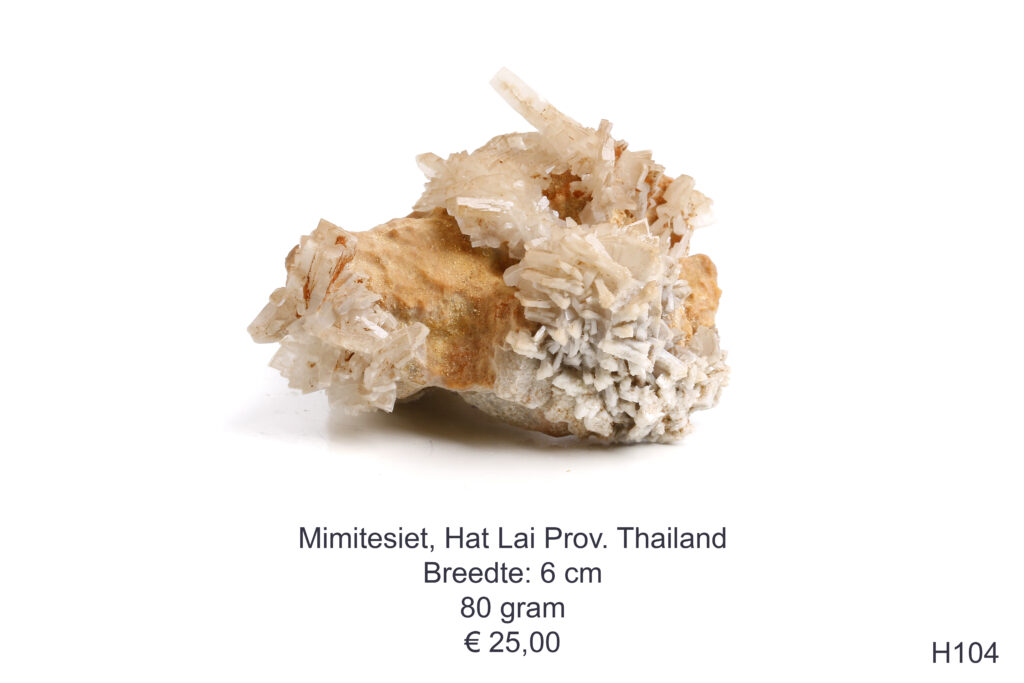 Mimitesiet