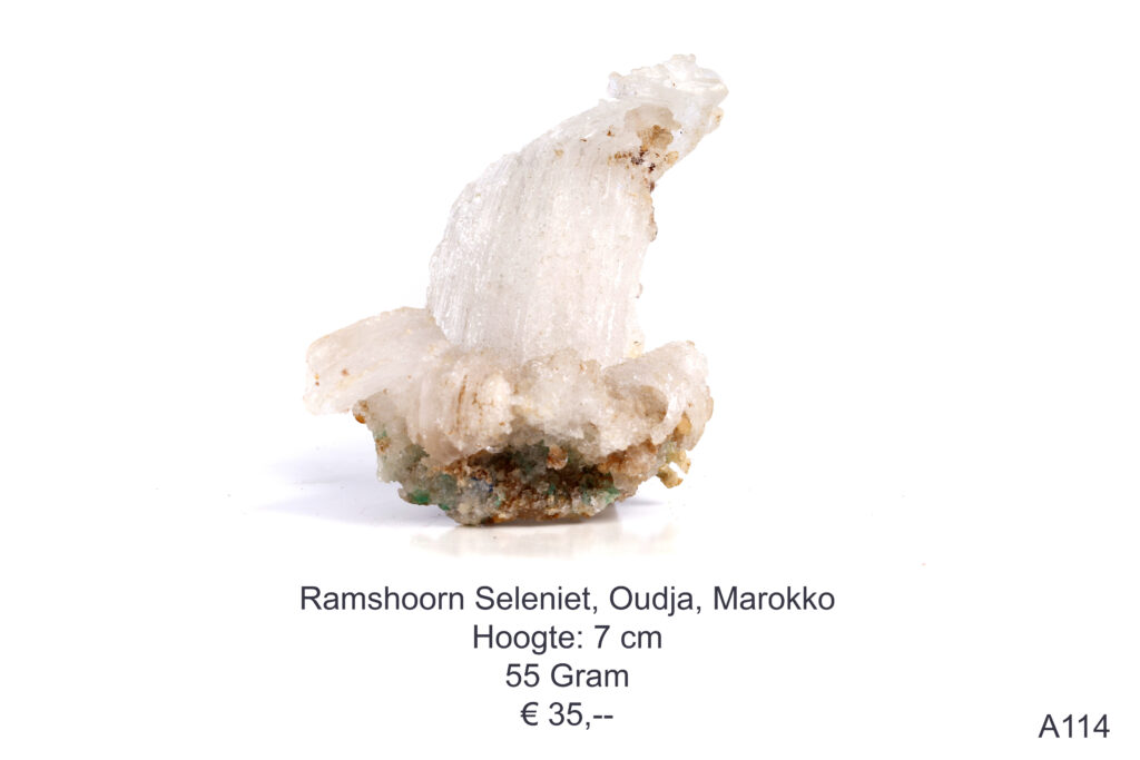 Ramshoorn Seleniet
