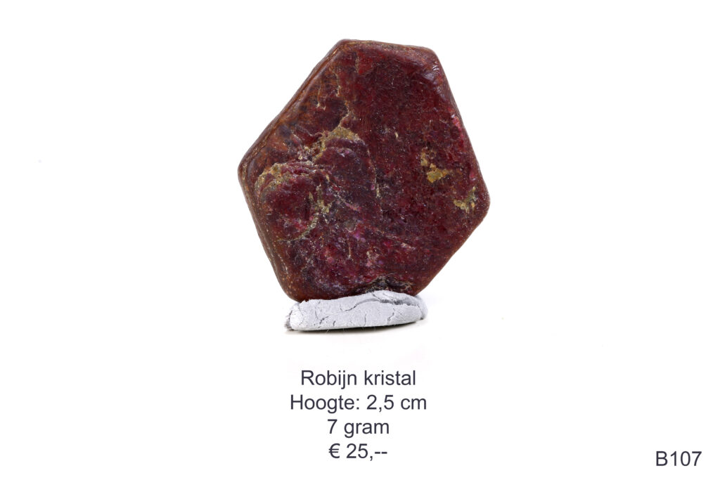 Robijn