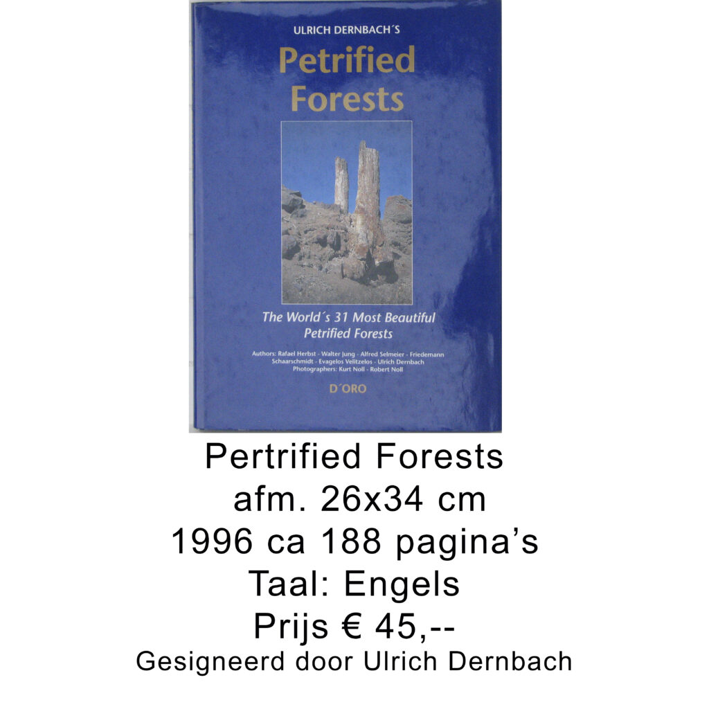 Pertrified Forests